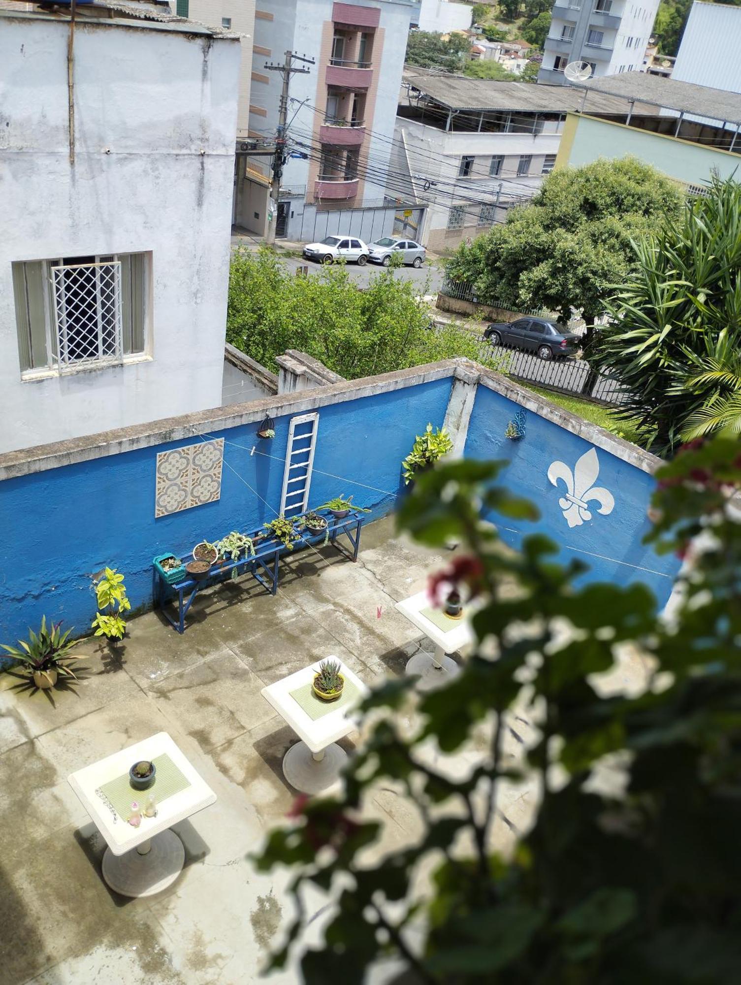 Flor De Lis Viçosa